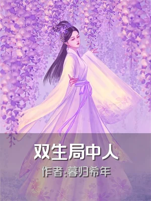 双生局中人