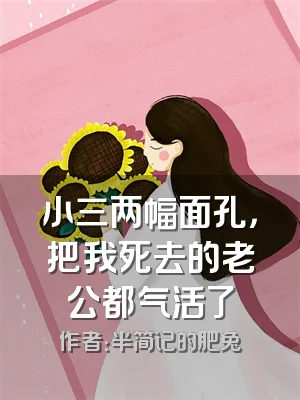 小三两幅面孔，把我死去的老公都气活了