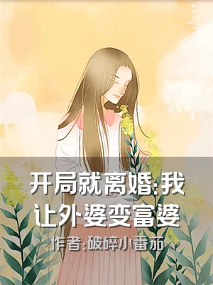 开局就离婚：我让外婆变富婆