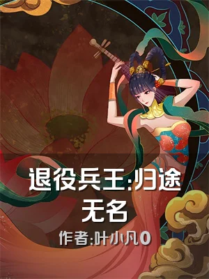 退役兵王：归途无名