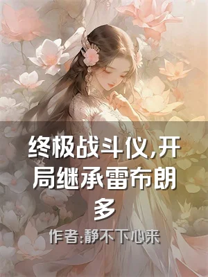 终极战斗仪，开局继承雷布朗多