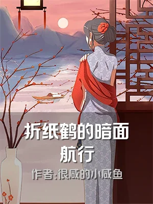 折纸鹤的暗面航行