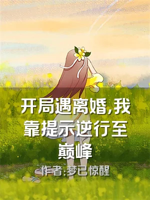 开局遇离婚，我靠提示逆行至巅峰