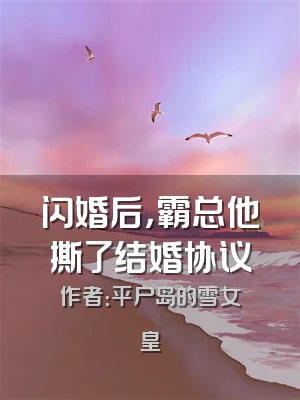 闪婚后，霸总他撕了结婚协议