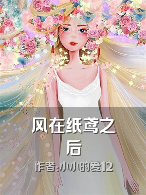 风在纸鸢之后