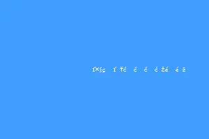 大王别打我我是队长