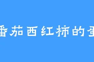 番茄西红柿的蛋