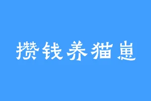 攒钱养猫崽