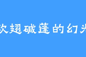 喜欢翅碱蓬的幻光雷