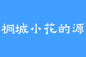 爱吃桐城小花的源力珠