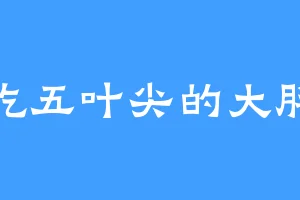 爱吃五叶尖的大胖哥