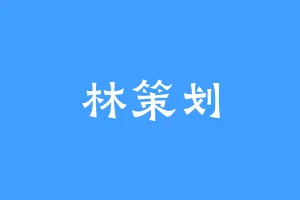 林策划