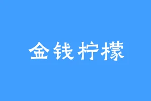金钱柠檬