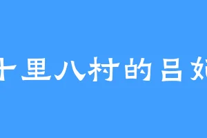 十里八村的吕妃