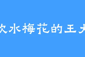 喜欢水梅花的王大少
