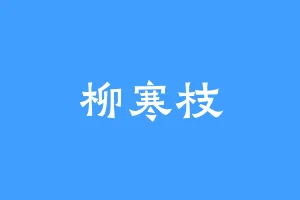 柳寒枝
