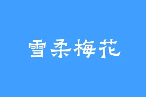 雪柔梅花