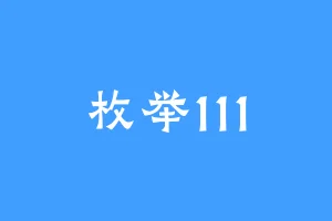枚举111